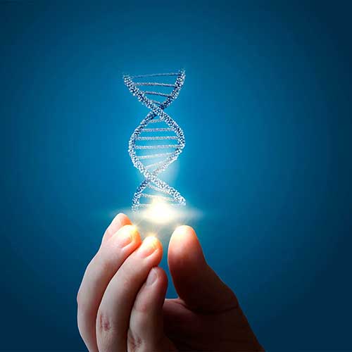 TEST DI APPROFONDIMENTO